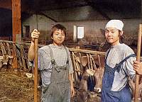 Japanische Agrarstudenten im Allgäu